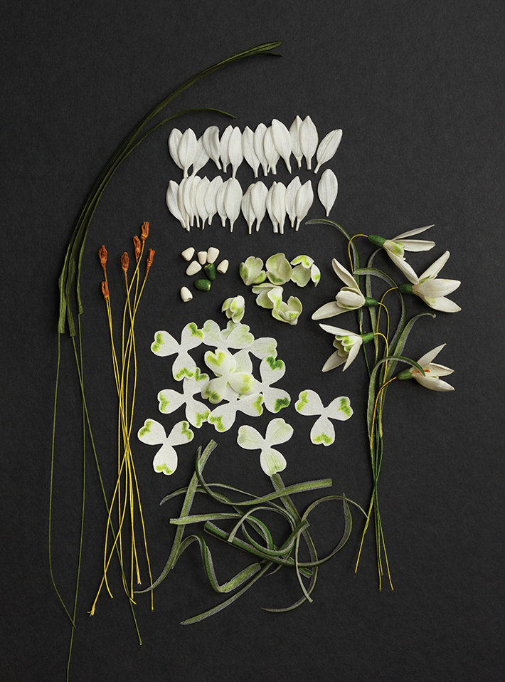 WHAT-Spring-2024_Tomlin_gallery_19