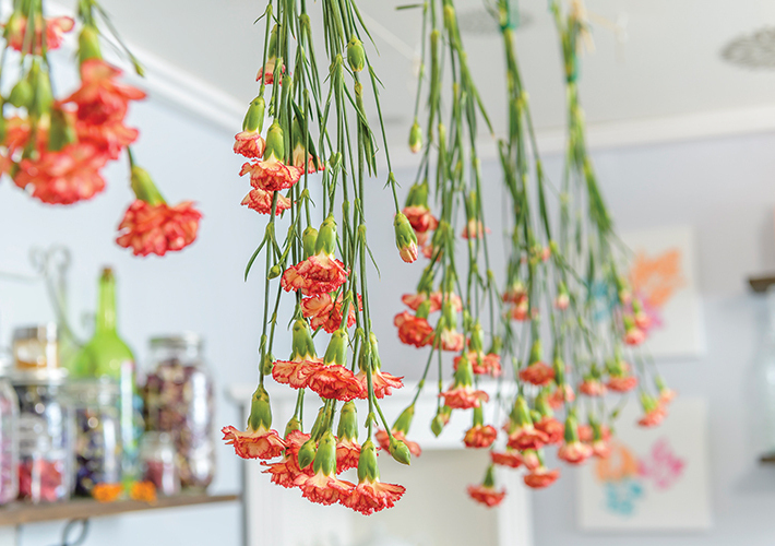 WHERE-Spring-2024_Chapelle_Gallery_07