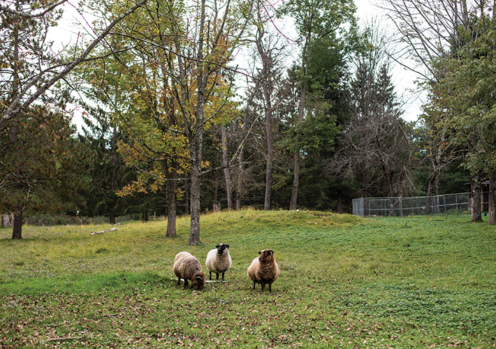 WHAT-Spring-2022_White_Gallery_01