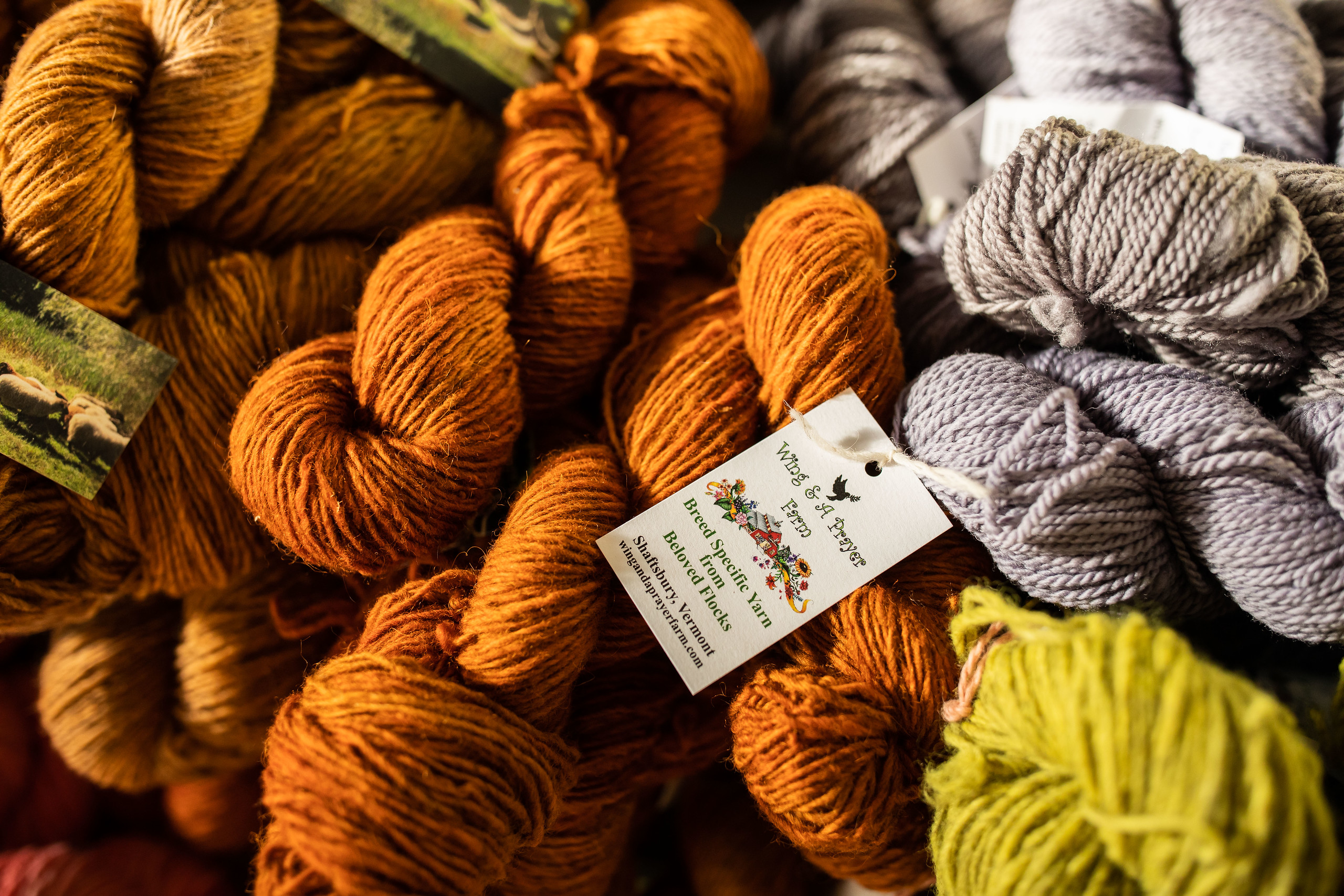 Dyed In The Wool PlantBased Color With Tamara White Women Create