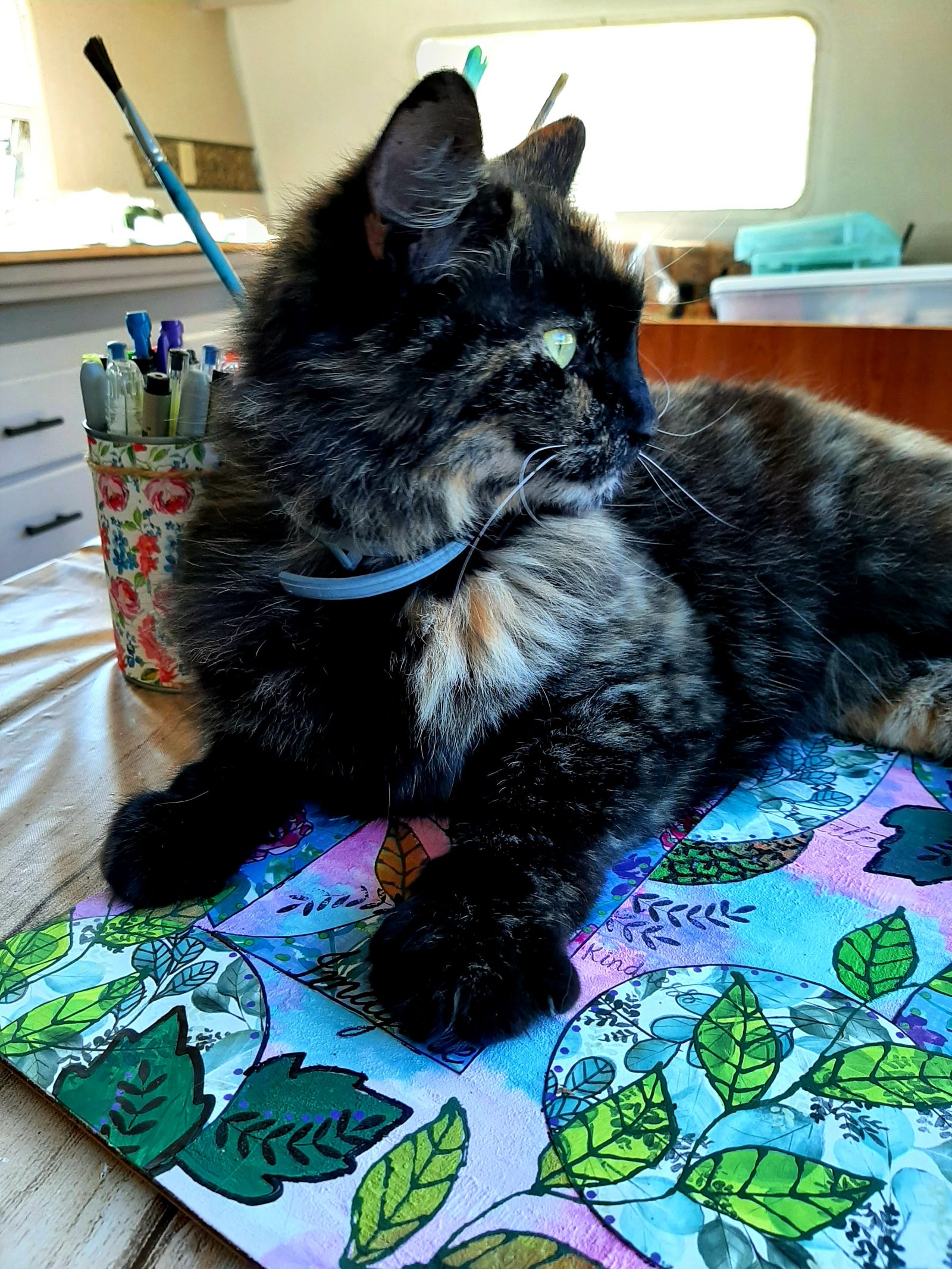 The Crafter Kitty
